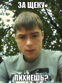 ЗА ЩЕКУ ПИХНЕШЬ?