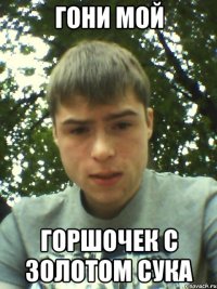 ГОНИ МОЙ ГОРШОЧЕК С ЗОЛОТОМ СУКА