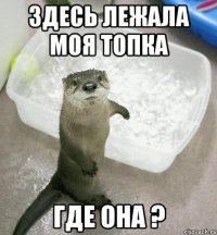 здесь лежала моя топка где она ?