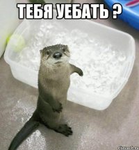 тебя уебать ? 