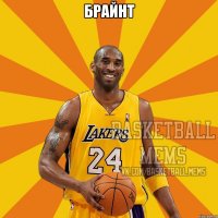 брайнт 