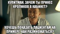 Купитман, зачем ты принес кроликов в кабинет? Хочешь показать пациентам на примере, как размножаться?