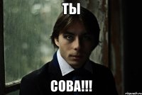 Ты СОВА!!!