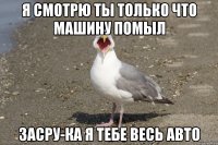 Я смотрю ты только что машину помыл Засру-ка я тебе весь авто