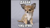 Давай Чибурик