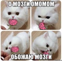О мозги.омомом обожаю мозги