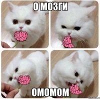 О мозги омомом