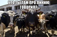 что ты там про линию говорил? 