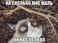 на сколько мне жаль ни на сколько