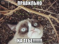 правильно на тебе!!!!!!!