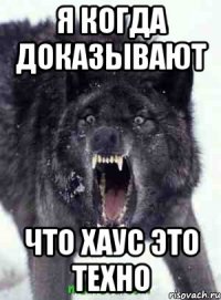я когда доказывают что хаус это техно
