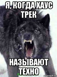 я, когда хаус трек называют техно