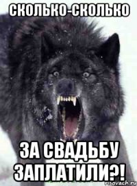 СКОЛЬКО-СКОЛЬКО ЗА СВАДЬБУ ЗАПЛАТИЛИ?!