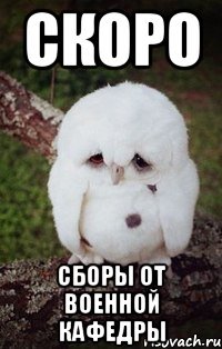 Скоро сборы от военной кафедры