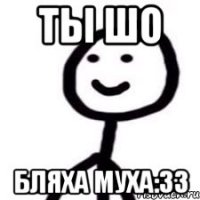 ты шо бляха муха:33