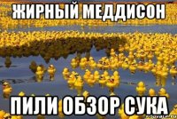 Жирный меддисон пили обзор сука