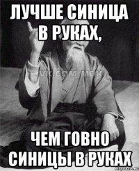 ЛУЧШЕ СИНИЦА В РУКАХ, ЧЕМ ГОВНО СИНИЦЫ В РУКАХ