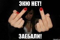 ЭКЮ НЕТ! ЗАЕБАЛИ!