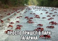  Просто пришёл в парк гагарина