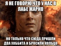 Я НЕ ГОВОРЮ,ЧТО У НАС В ЛАБЕ ЖАРКО НО ТОЛЬКО ЧТО СЮДА ПРИШЛИ ДВА ХОББИТА И БРОСИЛИ КОЛЬЦО