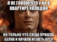 я не говою,что у на в квартире холодно но только что сюда пришла белка и начала искать орех