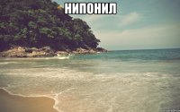 нипонил 