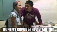  почему коровы не летают?!!!
