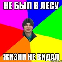 не был в лесу жизни не видал