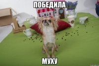 победила муху
