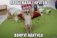 пробежала 7 кругов вокруг кактуса