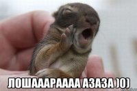  лошааараааа азаза )0)