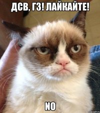 дсв, гз! лайкайте! no