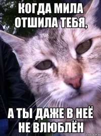 Когда Мила отшила тебя, а ты даже в неё не влюблён