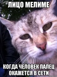 Лицо мелиме когда человек палец окажется в сети