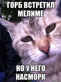 Горб встретил мелиме но у него насморк