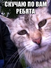 Скучаю по вам ребята 