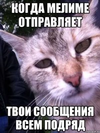 Когда мелиме отправляет твои сообщения всем подряд