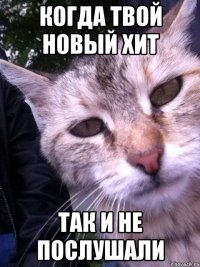 когда твой новый хит так и не послушали