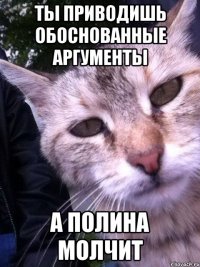Ты приводишь обоснованные аргументы А полина молчит