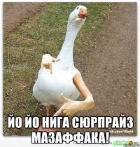  йо йо нига сюрпрайз мазаффака!