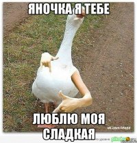 Яночка я тебе люблю моя сладкая