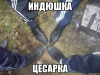 индюшка цесарка