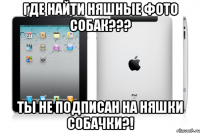 Где найти няшные фото собак??? Ты не подписан на Няшки собачки?!