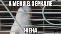 у меня в зеркале жена