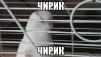 чирик чирик