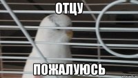 отцу пожалуюсь