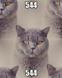 544 544