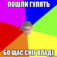 Пошли гулять Бо щас сніг впаде