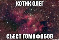КОТИК ОЛЕГ СЪЕСТ ГОМОФОБОВ