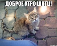 Доброе утро шатц! 